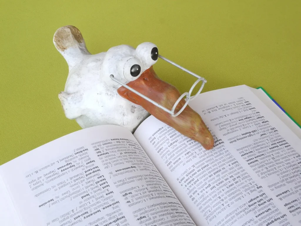 Przypadki w języku polskim