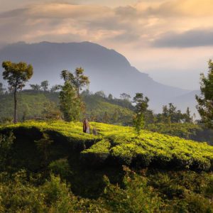 Gdzie leży Sri Lanka