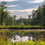 Ile jest parków narodowych w Polsce?