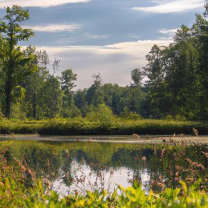 Ile jest parków narodowych w Polsce?